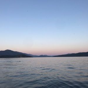 Meet your Posher, Evie